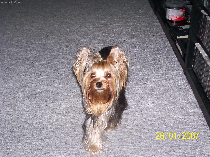 Foto: Bessy